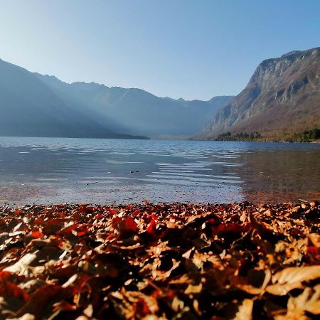 Apartment Korošec Matej Bohinj Exteriér fotografie