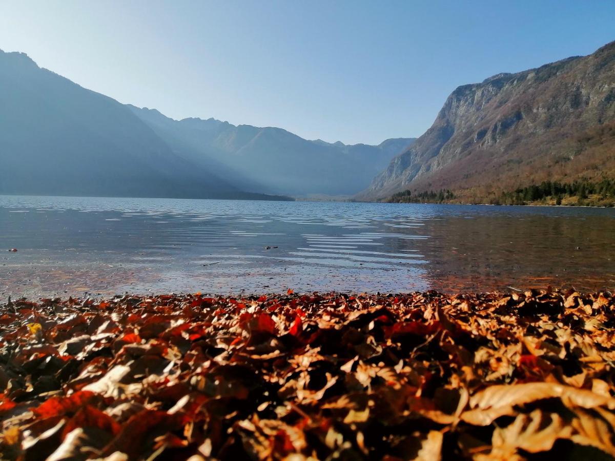 Apartment Korošec Matej Bohinj Exteriér fotografie