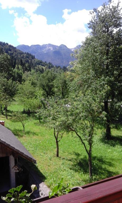 Apartment Korošec Matej Bohinj Exteriér fotografie